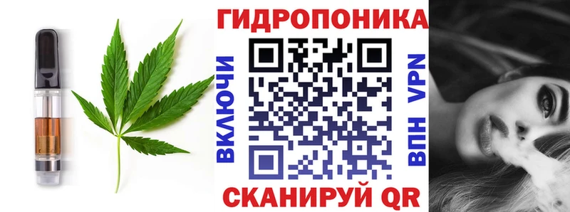 Canna-Cookies марихуана  купить закладку  Нальчик 