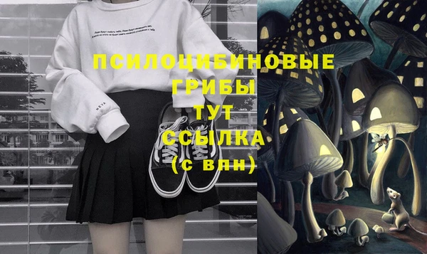 гидропоника Нефтекумск