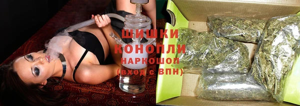 хмурый Нея