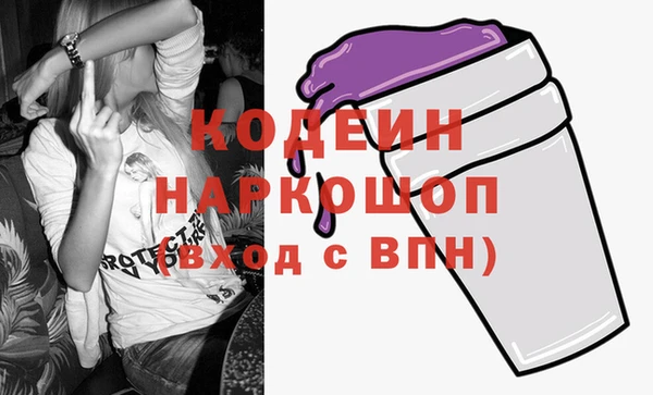 хмурый Нея