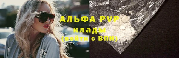 хмурый Нея