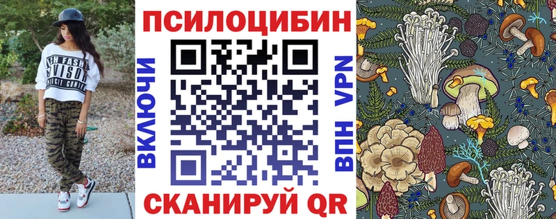 Псилоцибиновые грибы MAGIC MUSHROOMS  Нальчик 