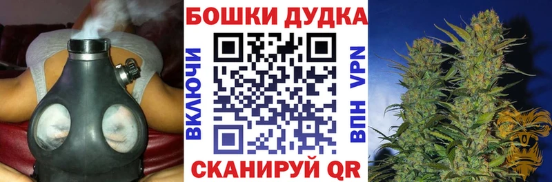 Марихуана сатива  Нальчик 